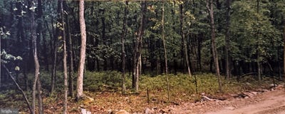 /international/us/corn-silk-ave-lot-135-136-hazle-township-pa-110105364250/