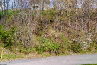 /international/us/116-iris-lane-morgantown-wv-110083811385/?lang=zh-cn