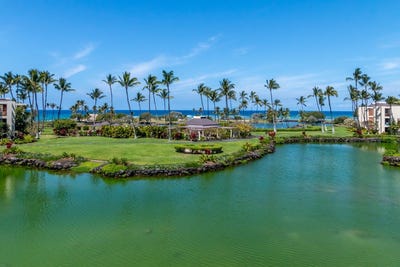 /international/us/68-1399-mauna-lani-dr-kamuela-hi-110106468139/
