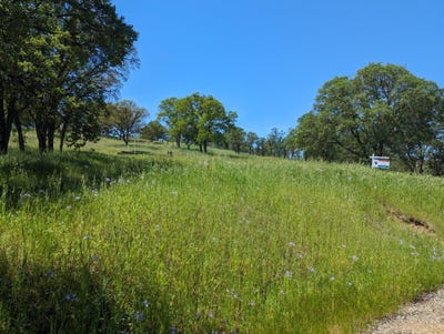 /international/us/1751-choctaw-road-copperopolis-ca-110097179701/
