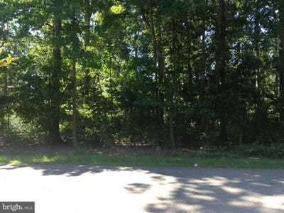 /international/us/judefind-avenue-lot-2-rock-hall-md-110078316098/