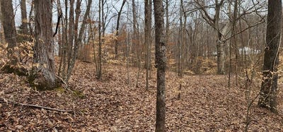 /international/us/saddletree-rd-camden-tn-110105917148/