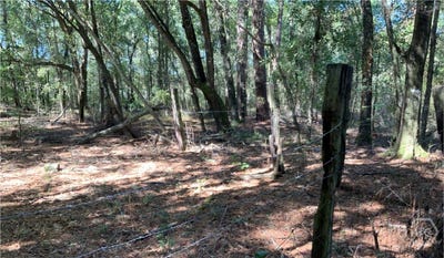 /international/us/simmons-street-guyton-ga-110105842270/?lang=it