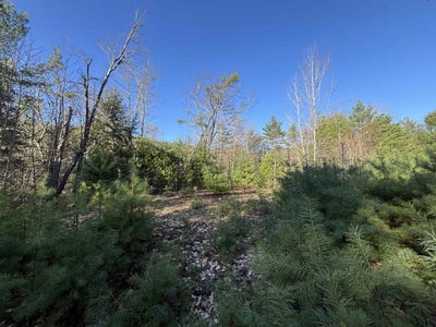 /international/us/00-simonsville-road-lot-3-andover-vt-110107475578/