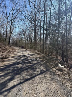 /international/us/fawn-road-harriet-ar-110106302083/