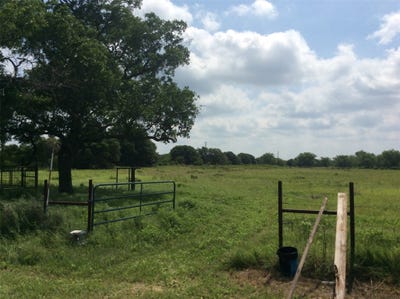 /international/us/8762-private-road-4641-baird-tx-110092487504/