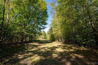 /international/us/00-beaver-dam-rd-beaverdam-va-110094992870/