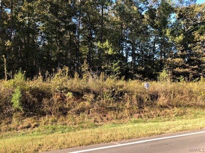 /international/us/daffron-road-duncanville-al-110108020142/