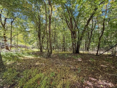 /international/us/glen-burn-ln-lot-16-meadows-of-dan-va-110120151907/
