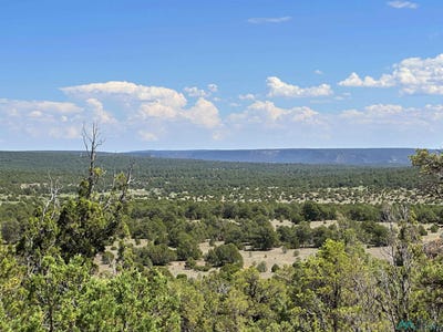 /international/us/tierra-de-dios-lot-7-rowe-nm-110104971082/