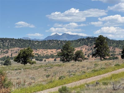 /international/us/pd-1796-chama-nm-110100768290/