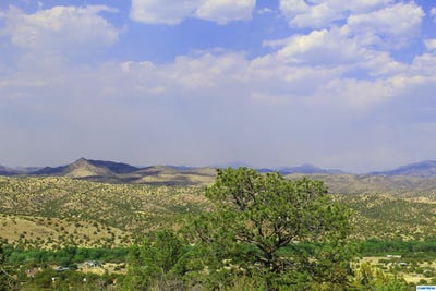 /international/us/40-grouse-lane-mimbres-nm-110100550012/