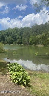 /international/us/lot-7-pleasure-road-sevierville-tn-110101233921/