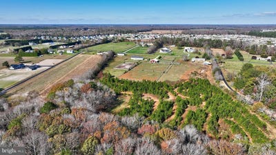 /international/us/30104-stockley-milton-de-110088195625/