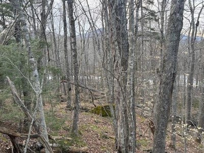 /international/us/barrows-towne-road-lot-8-killington-vt-110107083352/
