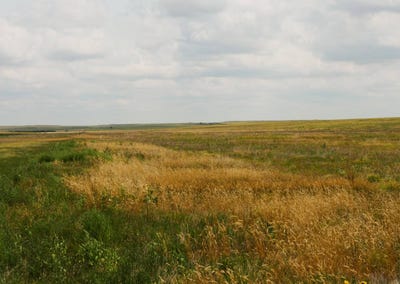 /international/us/tbd-cr-16-bushnell-ne-110106537906/