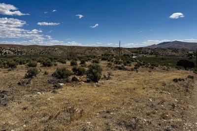 /international/us/hollyhock-street-elko-nv-110108445969/