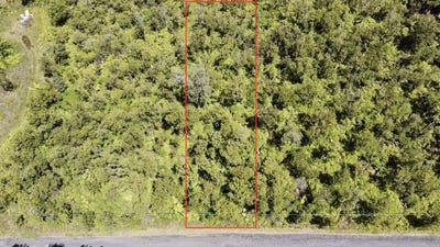 /international/us/wailele-st-mountain-view-hi-110101117031/?lang=zh-tw