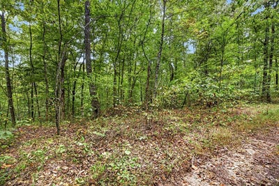 /international/us/timber-ridge-lane-phase-ii-lot-24-celina-tn-110110355742/
