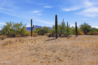 /international/us/1920-e-18th-avenue-apache-junction-az-110108075211/