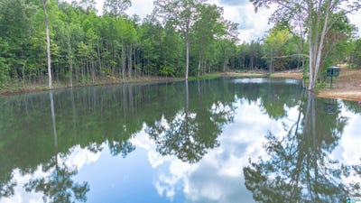 /international/us/vineyard-road-lot-1-2-4-5-6-fruithurst-md-110109300267/