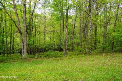 /international/us/lot-56-glade-place-monterey-tn-110099318119/