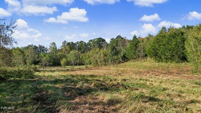 /international/us/1985-snake-hollow-road-greeneville-tn-110120684382/
