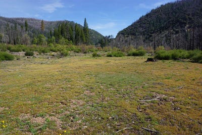 /international/us/11216-highway-89-taylorsville-ca-110107054487/