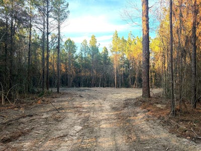 /international/us/20-acres-springhill-rd-poplarville-ms-110104997661/