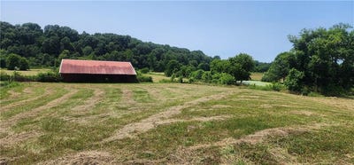 /international/us/lot-1-water-avenue-downum-addition-elm-springs-ar-110085096987/