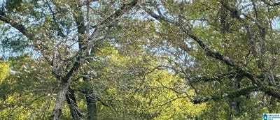 /international/us/258-parkview-drive-lot-36-sylvan-springs-al-110072271012/
