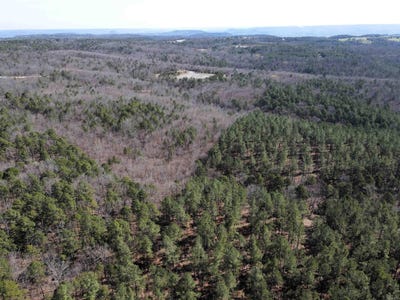 /international/us/2986-e-mountain-road-clinton-ar-110106706300/
