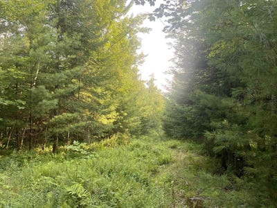 /international/us/lot-4-aldrich-mountain-lane-waterford-vt-110101256566/?lang=en