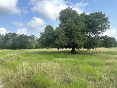 /international/us/8345-farm-to-market-road-2145-la-grange-tx-110101429614/