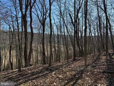 /international/us/lot-7-8-ritters-hidden-valley-capon-bridge-wv-110104956500/