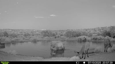 /international/us/221-223-five-gate-road-pinehill-nm-110097136052/