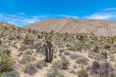 /international/us/55652-buena-vista-drive-yucca-valley-ca-110108441023/