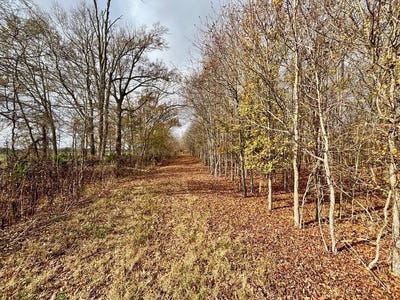 /international/us/1509-highway-128-saint-joseph-la-110104636746/