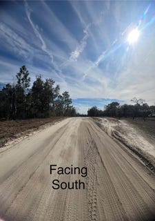 /international/us/tbd-se-185-terrace-morriston-fl-110097253964/