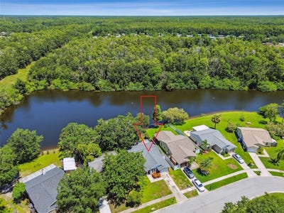 /international/us/1232-holly-circle-oldsmar-fl-110101146771/?lang=es