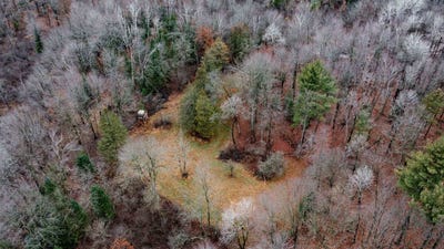 /international/us/40-68-acres-county-road-b-mosinee-wi-110097815848/