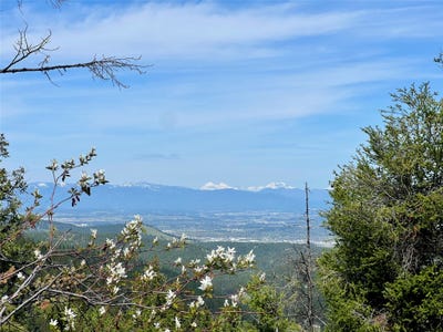 /international/us/nhn-patrick-creek-road-kalispell-mt-110108391275/