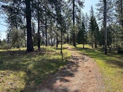 /international/us/19292-shawnee-trail-mokelumne-hill-ca-110098491617/