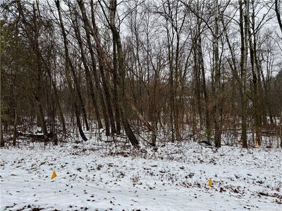 /international/us/lot-22-short-ridge-estates-eau-claire-wi-110096528685/?lang=zh-cn
