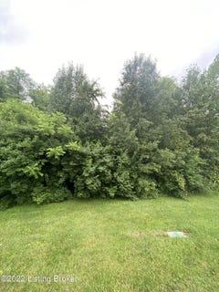 /international/us/6205-pebble-ct-crestwood-ky-110077252119/