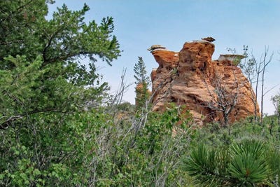 /international/us/sand-creek-township-wy-110100388970/