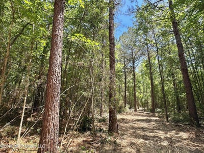 /international/us/mcnair-springs-road-magee-ms-110107825166/