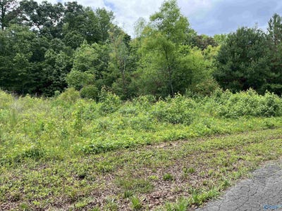 /international/us/lot-14-country-cove-road-crossville-al-110099705067/?lang=zh-tw