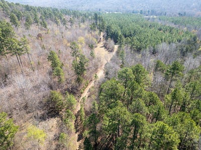 /international/us/pleasant-plains-ar-110106926548/