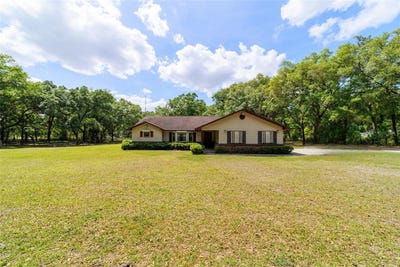 /international/us/21990-ne-highway-27-williston-fl-110098544777/